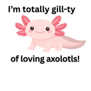 Axolotl