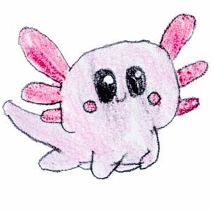 Axolotl