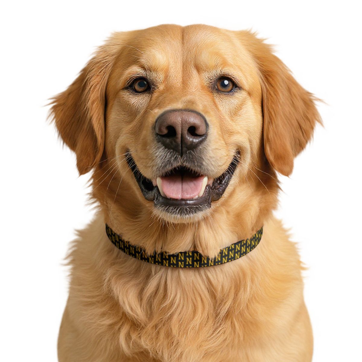 N Pattern Clip-On Pet Collar mockup